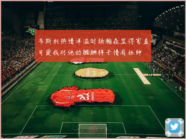 韦斯利热情洋溢时杨瀚森显得害羞可爱我对他的腼腆样子情有独钟
